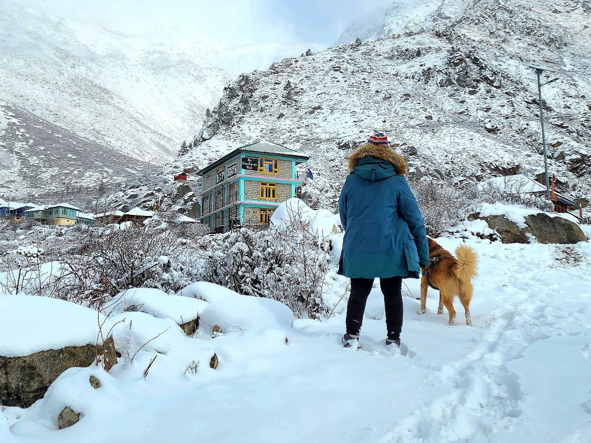 Lap Stays - Wanderer'S Nest Chitkul Buitenkant foto